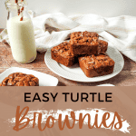 turtle brownies pin (3)