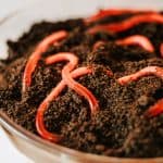 dirt cake worm trifle hero