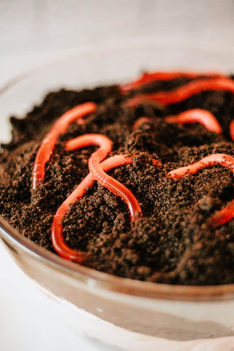 Dirt Cake Trifle and Earthworms