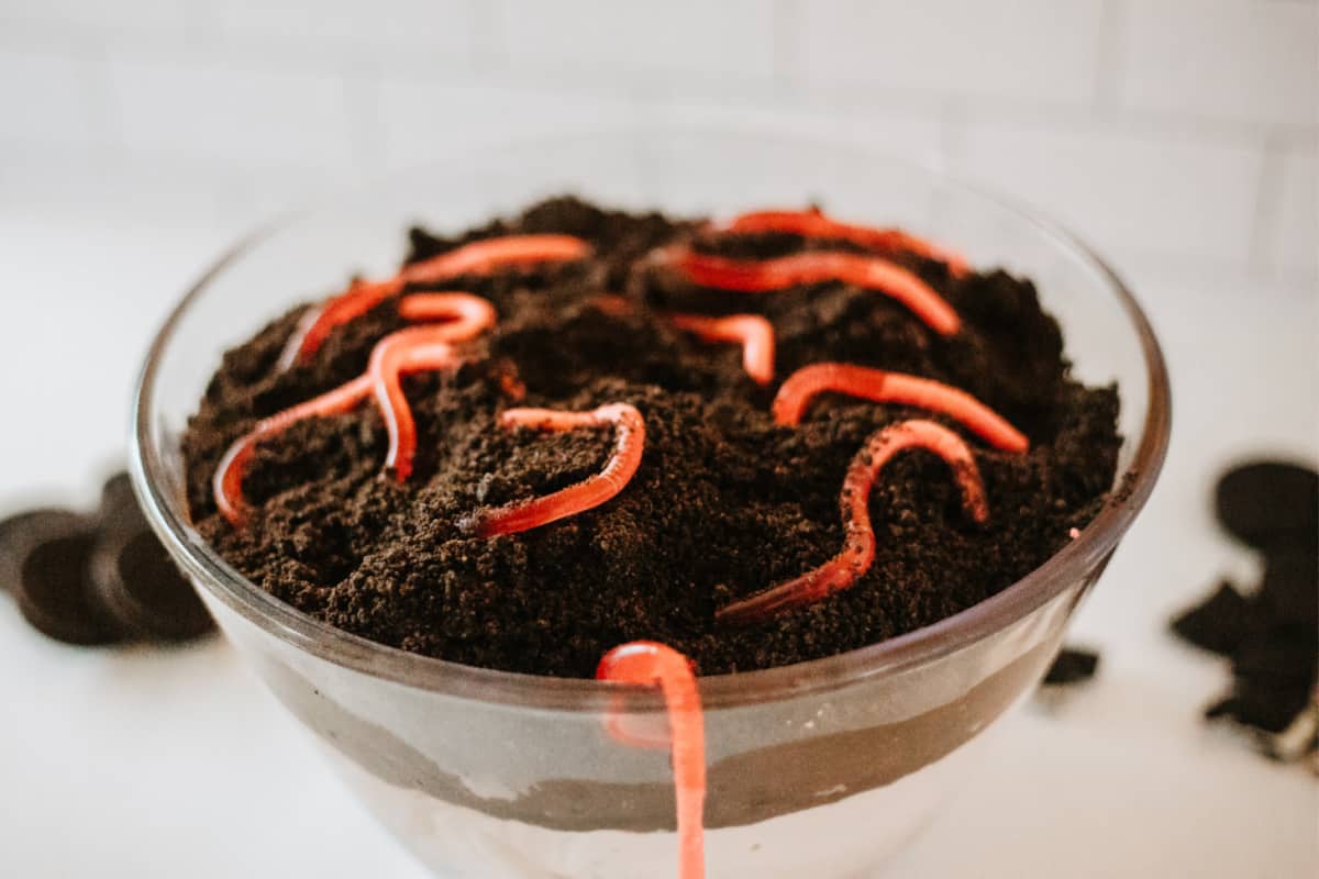dirt trifle with worms