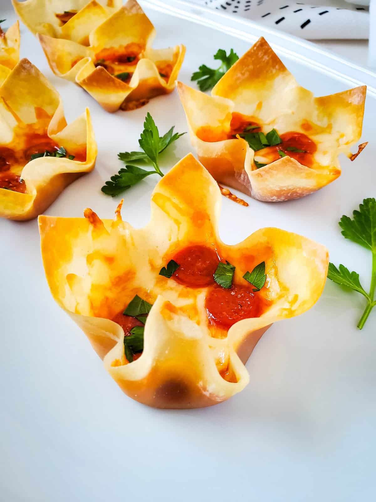 Pizza Wonton Cups Set 2 3