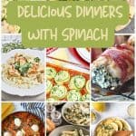 15 Easy and Cozy Slow Cooker Meals