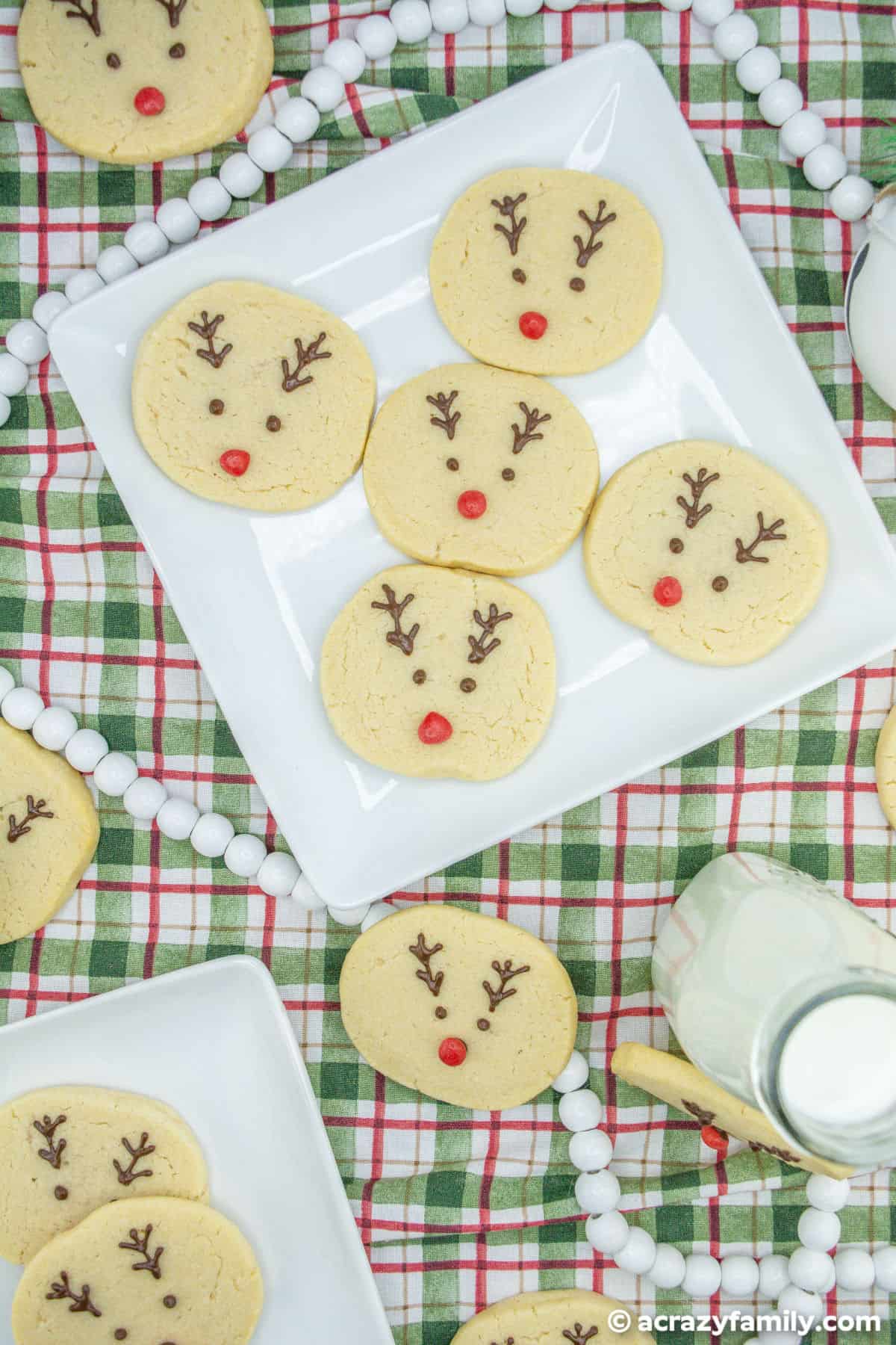 reindeer sugar cookies overhead