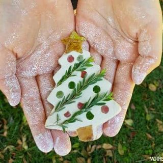 Nature and Clay Christmas Ornaments.jpg