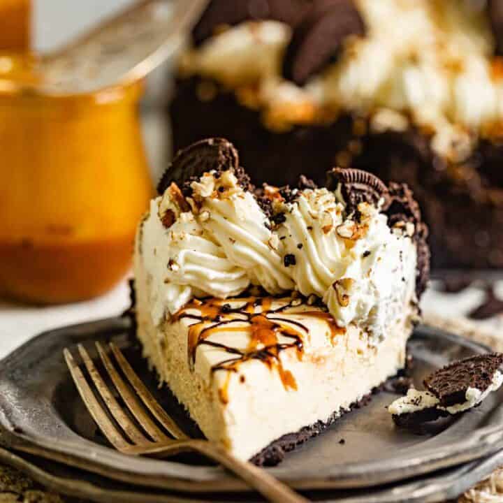 turtle pie 2.jpg