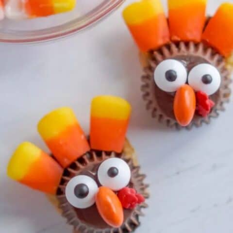Turkey Treat FEATURE 600&times;900