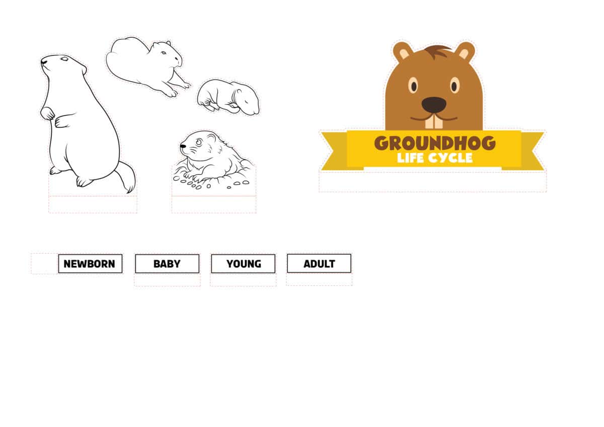 Groundhog 02