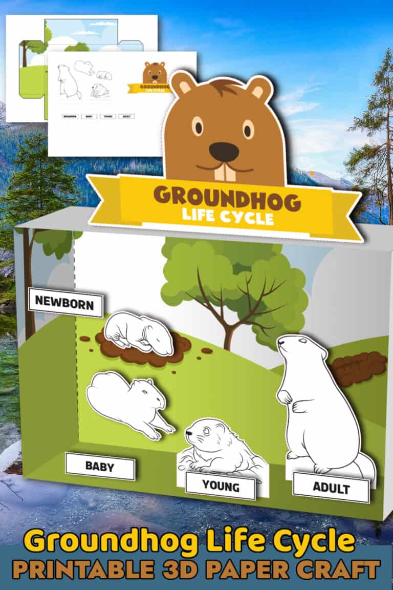 Groundhog Life Cycle Printable Paper Craft