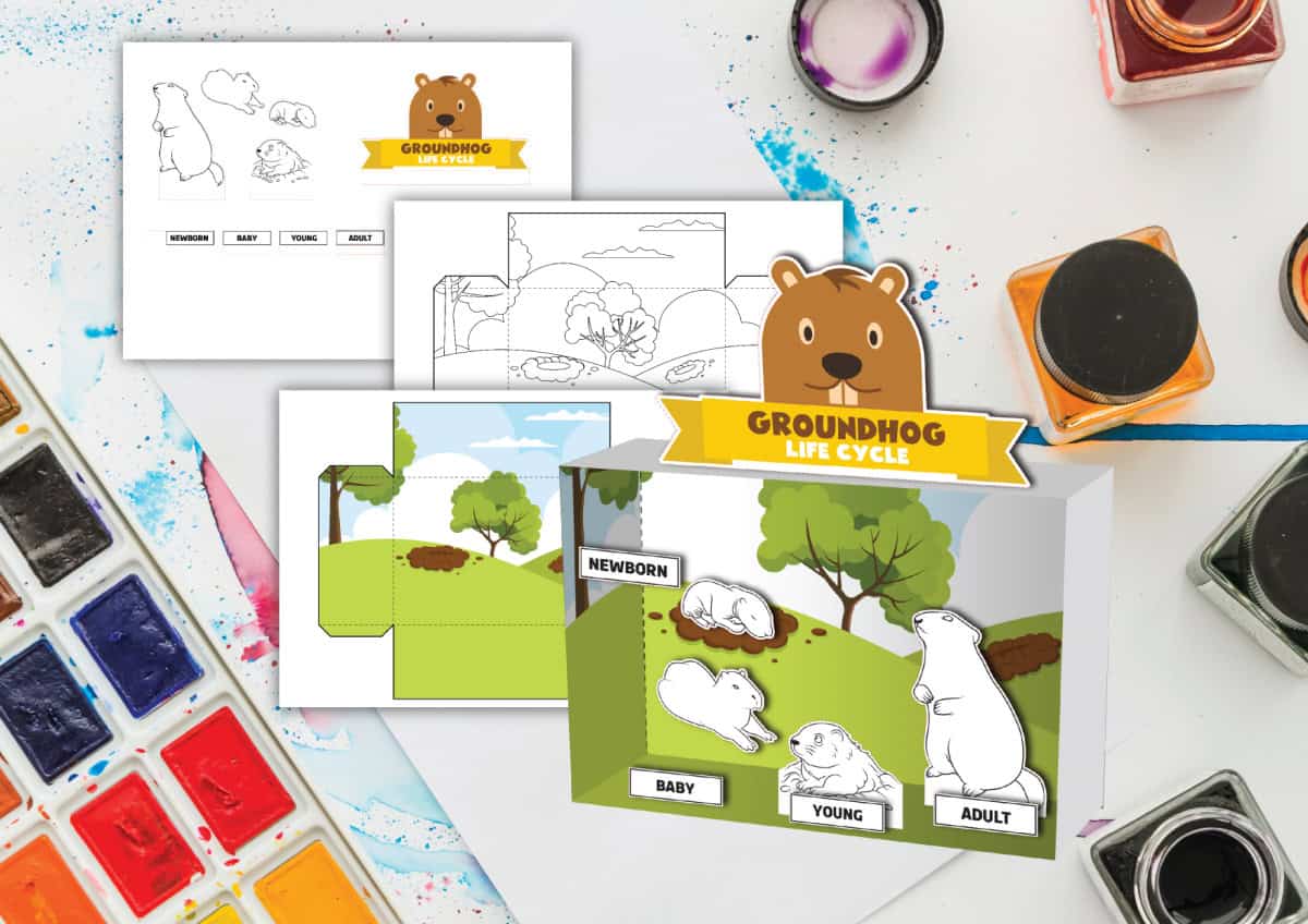 Kids will enjoy assembling this interactive life cycle craft—and they’ll be learning as they go!
