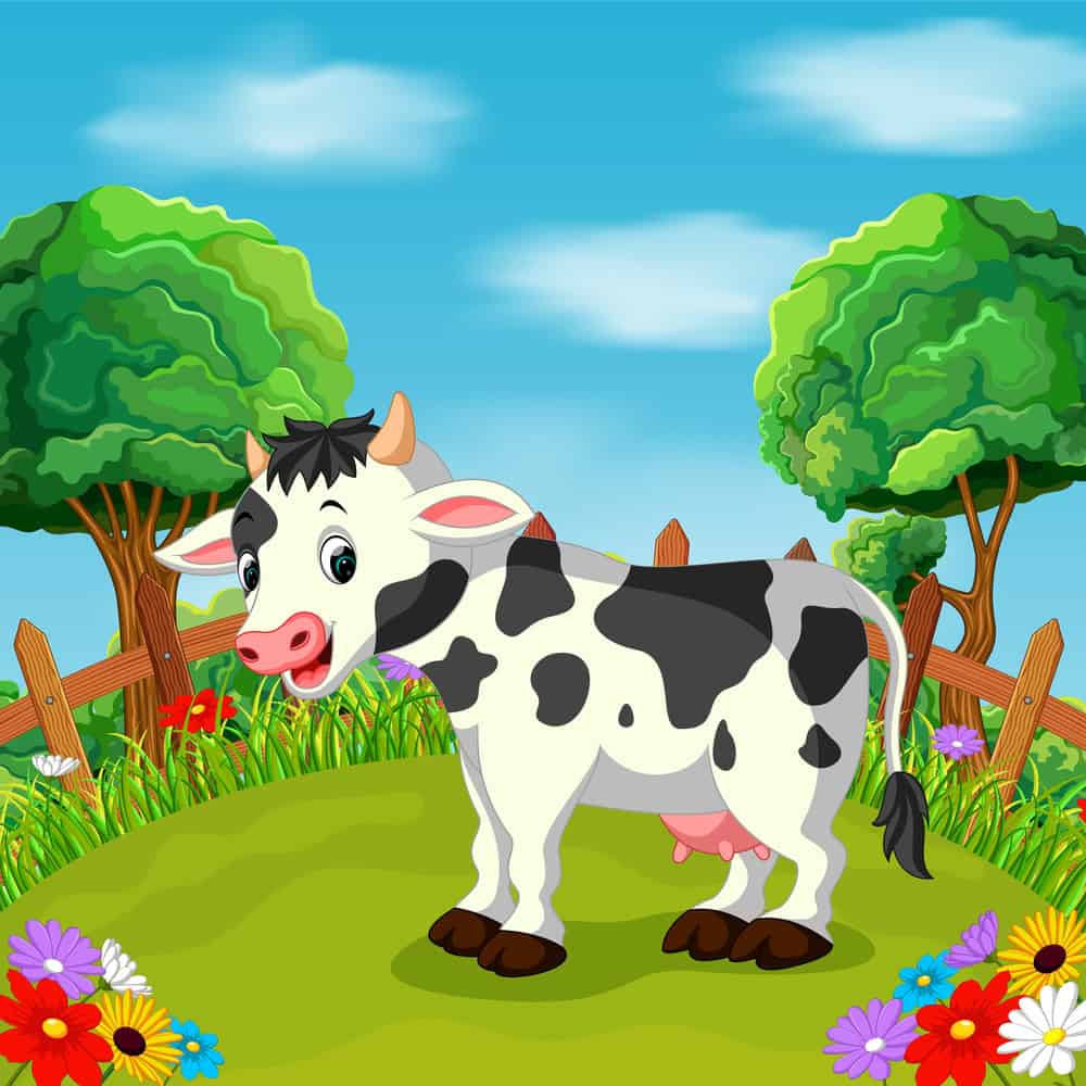 cow laughing 1