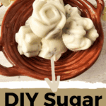 rose scrub bar pin (3)