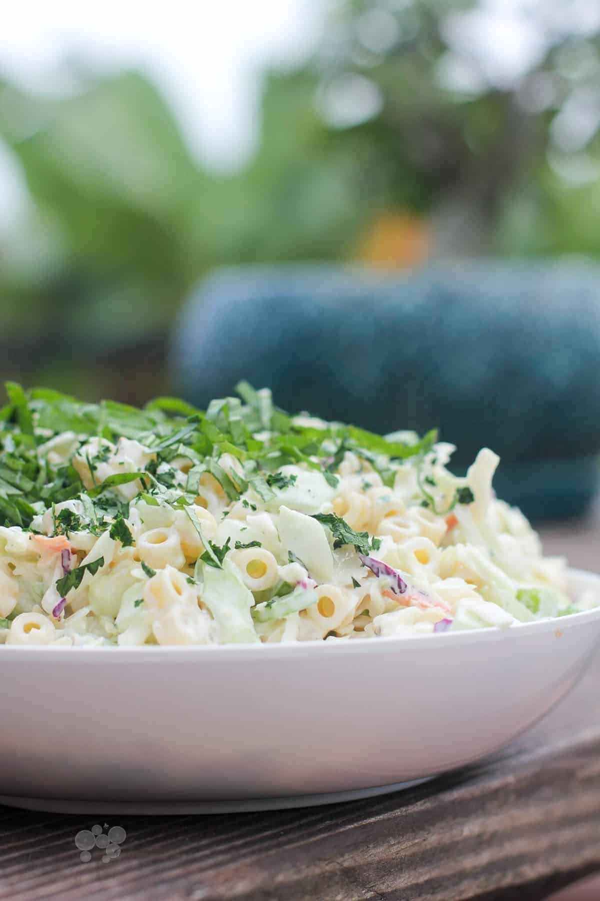 10. Coleslaw Pasta Salad