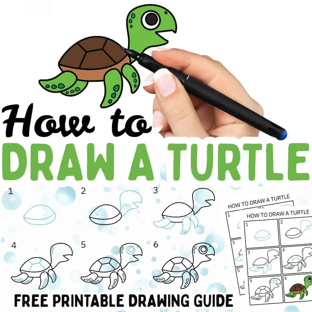 How to draw a Turtle (1000 x 1000 px)
