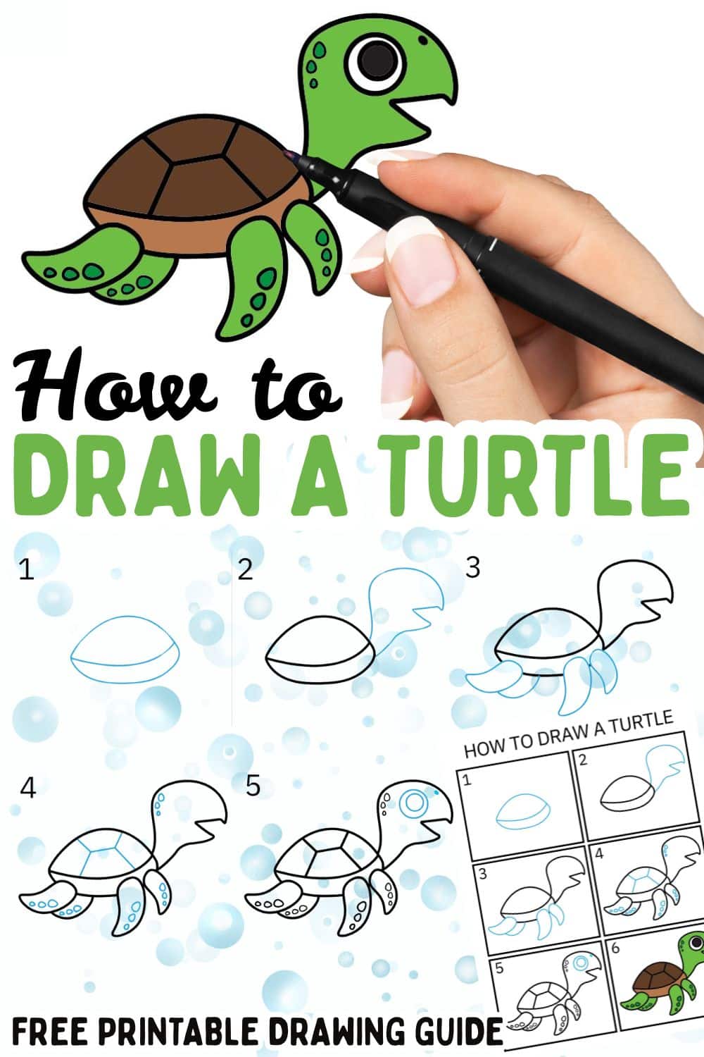 How to draw a Turtle