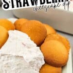 strawberry cheesecake dip (3)