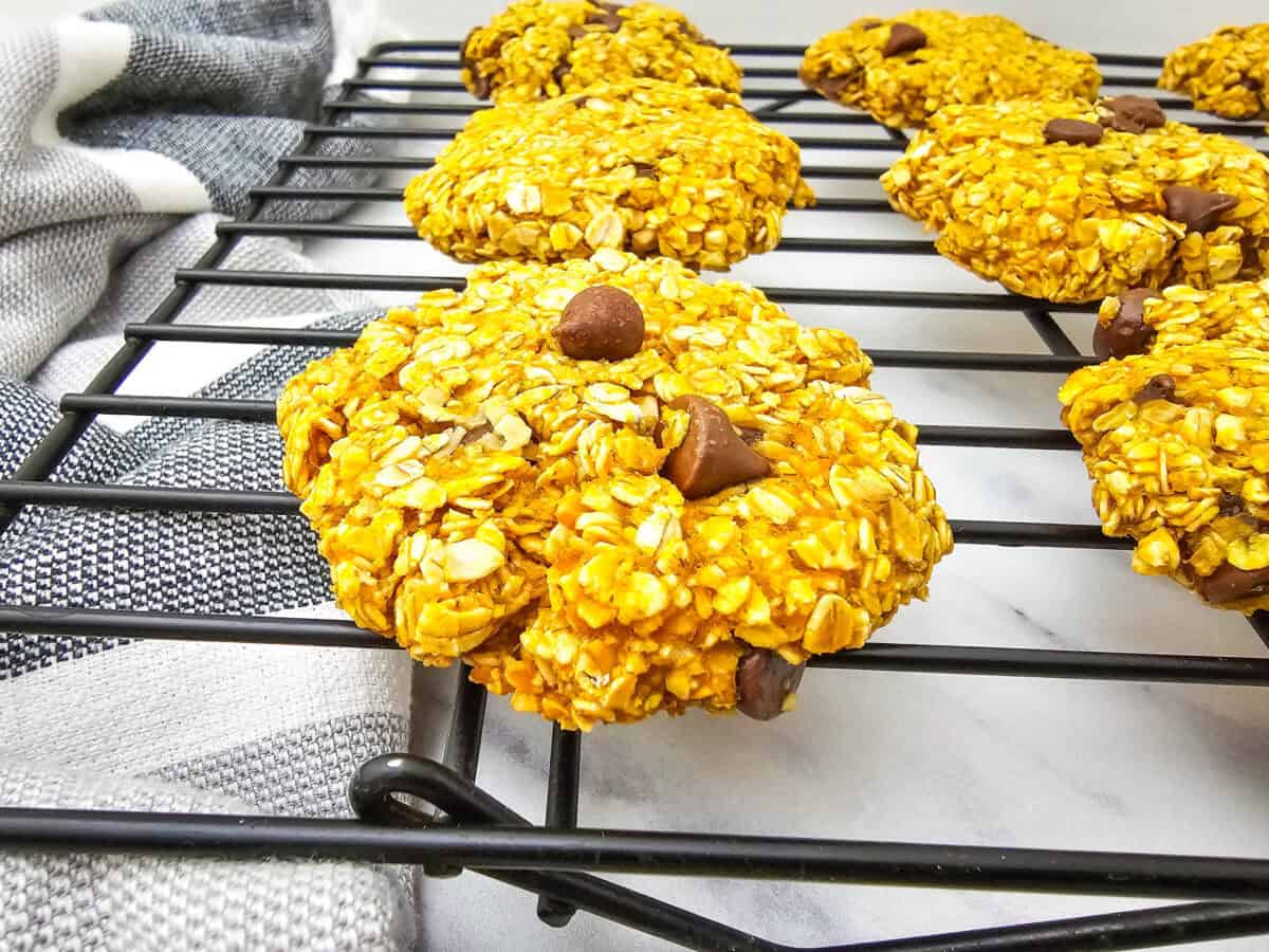 Pumpkin Oatmeal Cookies set 1 – 6