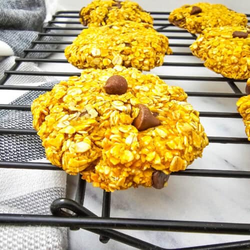 Pumpkin Oatmeal Cookies set 1 – 6