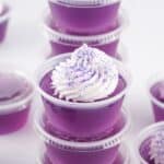 _Purple Hooter Jello Shots (2)