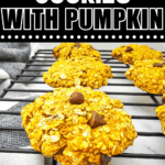 pumpkin oatmeal cookies (1)