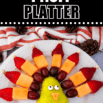 turkey fruit skewers pin (1)