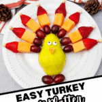 turkey fruit skewers pin (2)