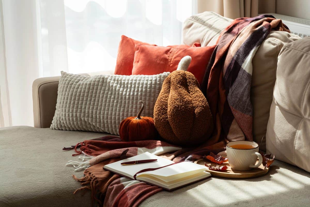 comfortable living room arrangement featuring Depositphotos_904494142_L